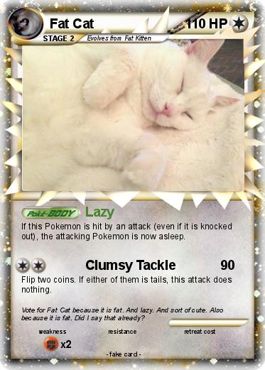 Pokemon Fat Cat