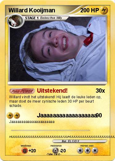 Pokemon Willard Kooijman