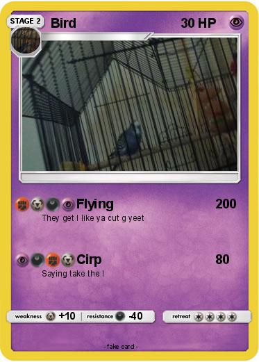Pokemon Bird