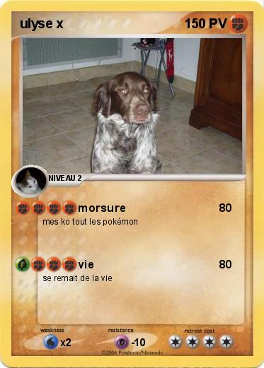 Pokemon ulyse x