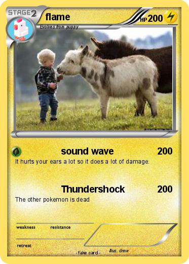 Pokemon flame
