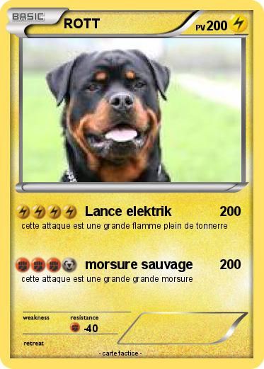 Pokemon ROTT