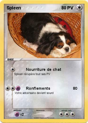Pokemon Spleen