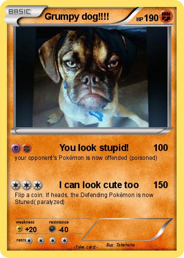 Pokemon Grumpy dog!!!!