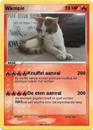 Pokemon Wiempie