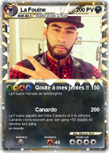 Pokemon La Fouine