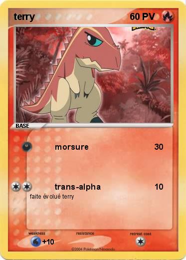 Pokemon terry