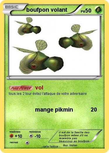 Pokemon boufpon volant