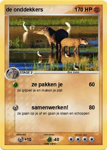Pokemon de onddekkers