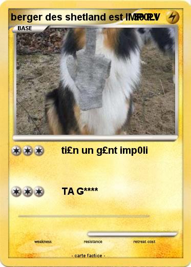 Pokemon berger des shetland est IMP0LI