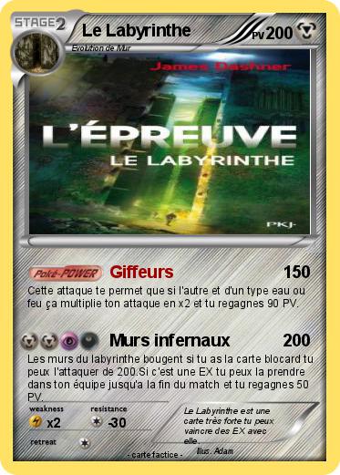 Pokemon Le Labyrinthe