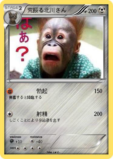 Pokemon 荒振る北川さん
