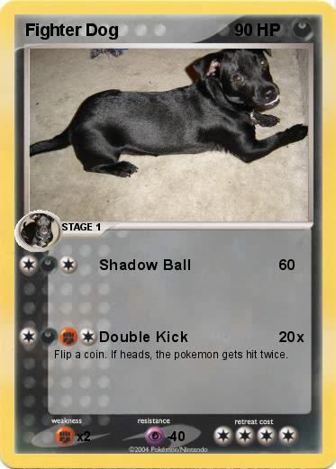 Pokemon Fighter Dog