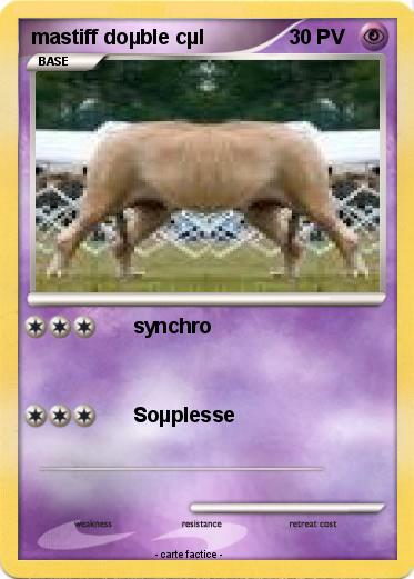 Pokemon mastiff doµble cµl