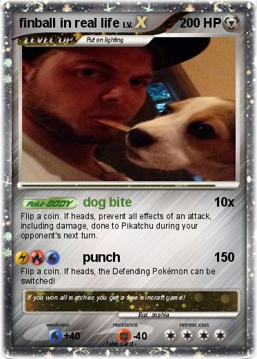 Pokemon finball in real life