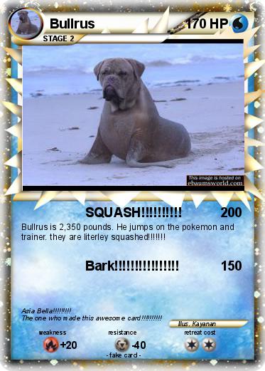 Pokemon Bullrus