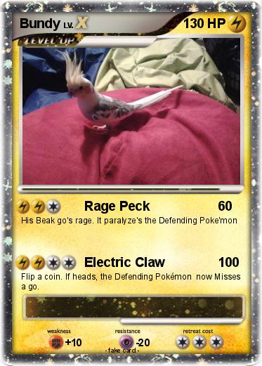 Pokemon Bundy