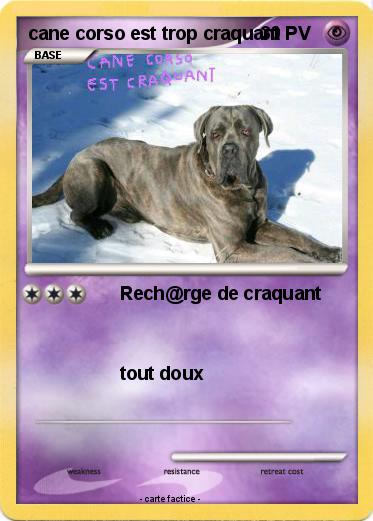 Pokemon cane corso est trop craquant