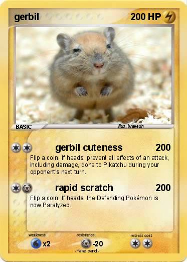 Pokemon gerbil