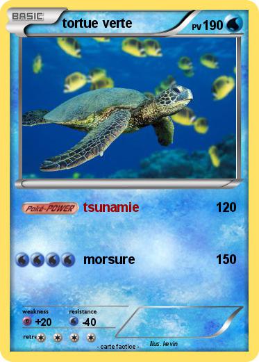Pokemon tortue verte