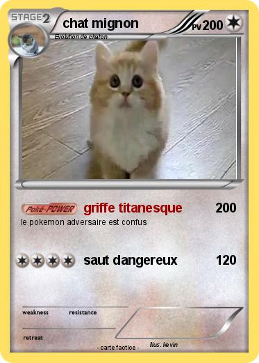 Pokemon chat mignon