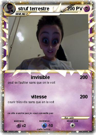 Pokemon struf terrestre