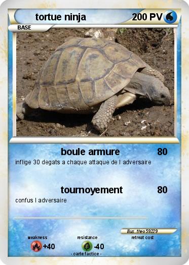 Pokemon tortue ninja