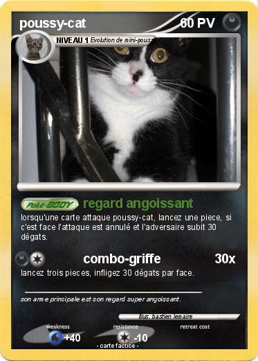 Pokemon poussy-cat