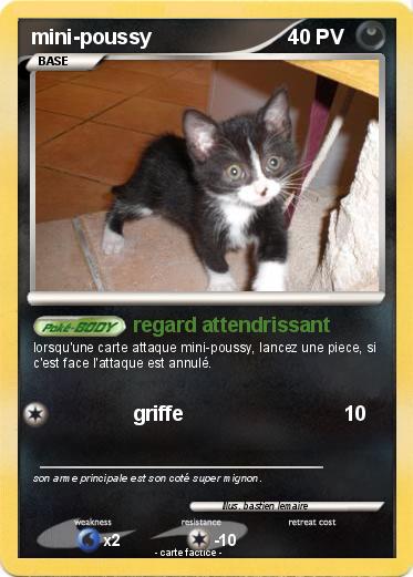Pokemon mini-poussy