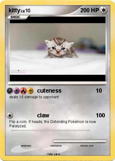 Pokemon kitty