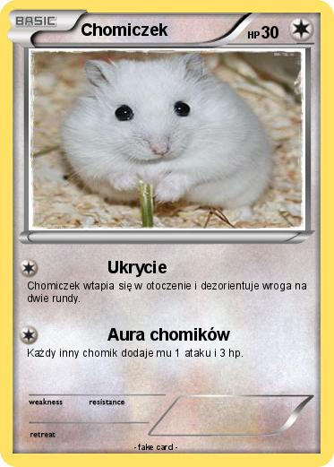 Pokemon Chomiczek