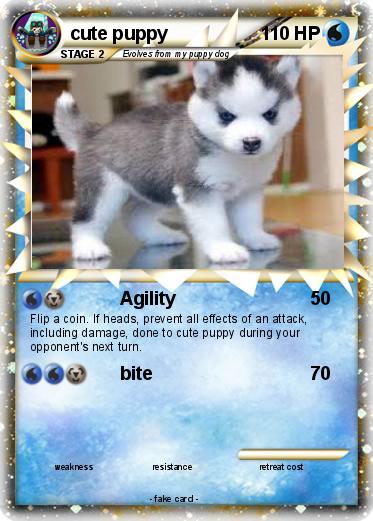 Pokemon cute puppy