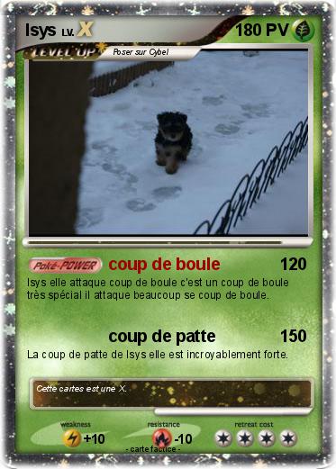 Pokemon Isys