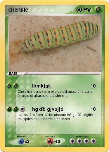 Pokemon chenille
