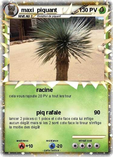 Pokemon maxi  piquant
