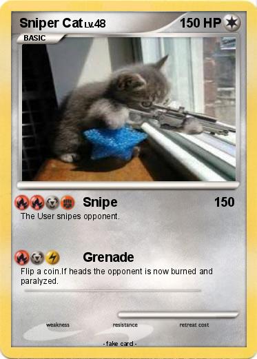 Pokemon Sniper Cat