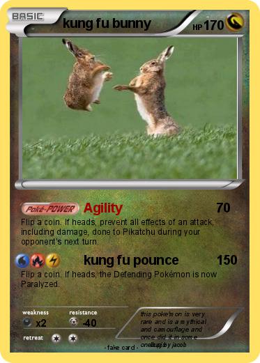 Pokemon kung fu bunny
