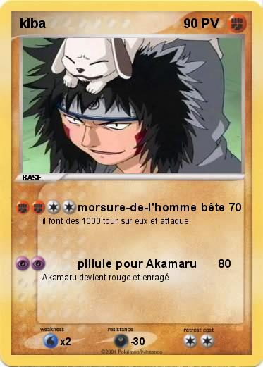 Pokemon kiba