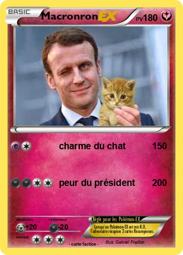 Pokemon Macronron