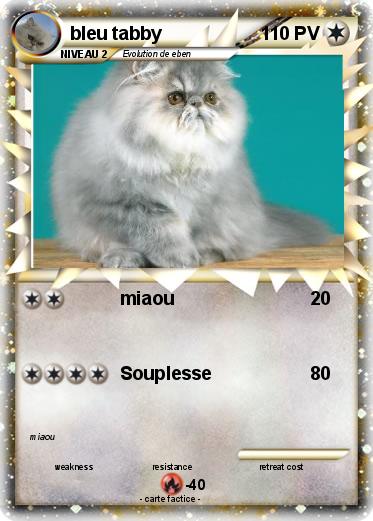 Pokemon bleu tabby