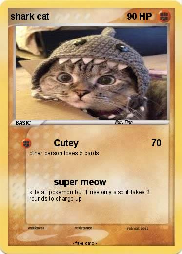 Pokemon shark cat