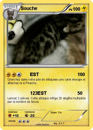 Pokemon Souche