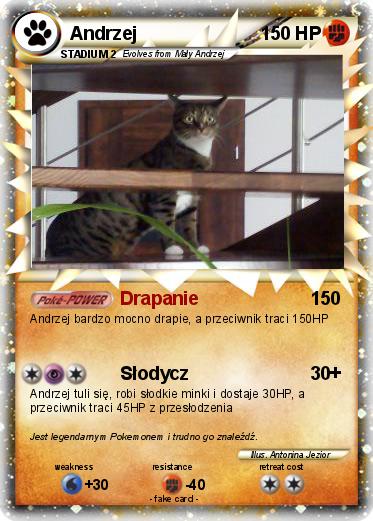 Pokemon Andrzej