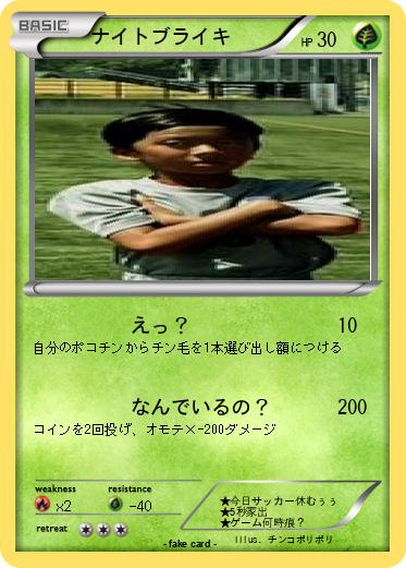 Pokemon ナイトブライキ