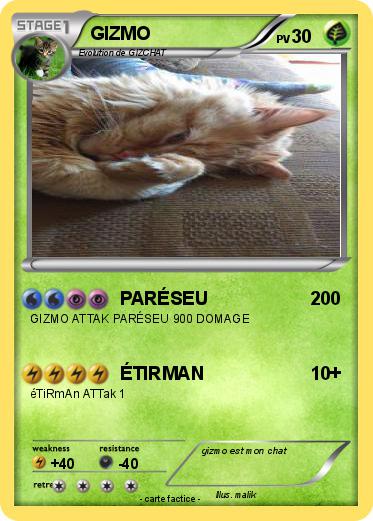 Pokemon GIZMO