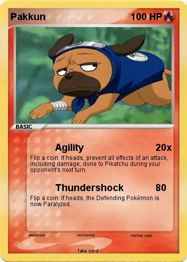 Pokemon Pakkun
