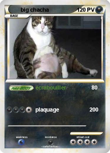 Pokemon big chacha