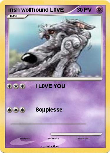 Pokemon irish wolfhound L0VE