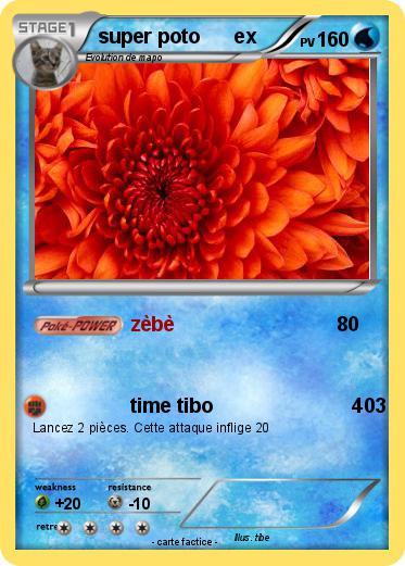 Pokemon super poto      ex