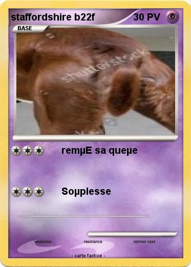 Pokemon staffordshire b22f